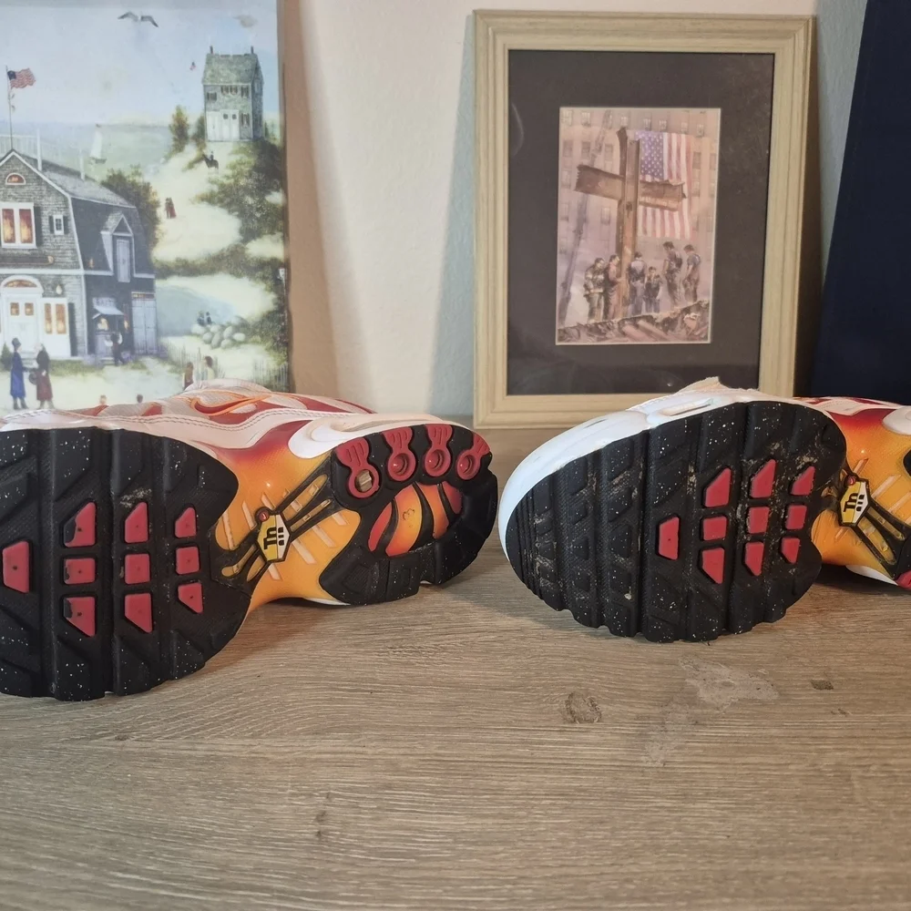Nike Air Max Plus Sneakers(One shoelace is missing and it needs to be cleaned)